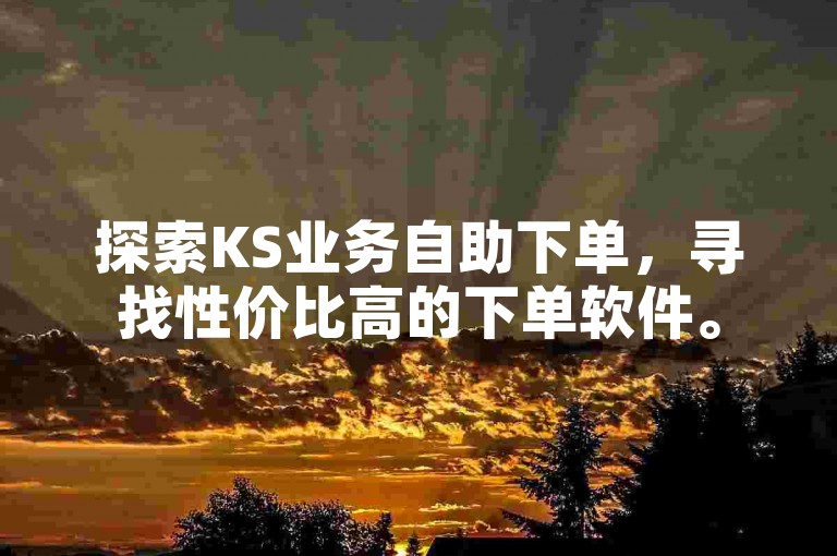 探索KS业务自助下单，寻找性价比高的下单软件。