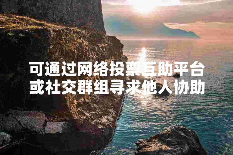 可通过网络投票互助平台或社交群组寻求他人协助投票。