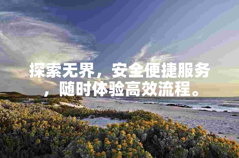探索无界，安全便捷服务，随时体验高效流程。