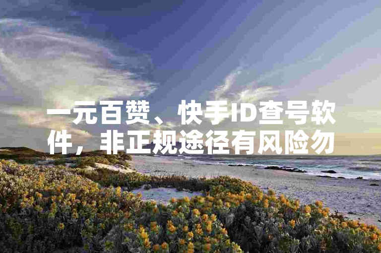 一元百赞、快手ID查号软件，非正规途径有风险勿尝试。