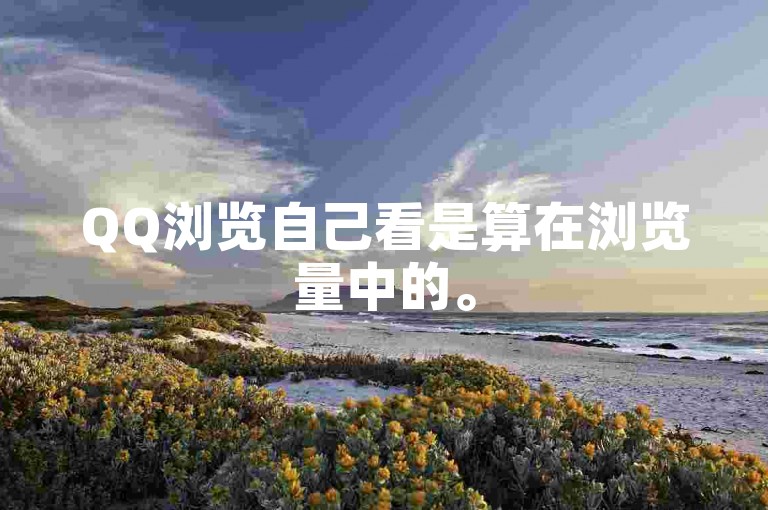 QQ浏览自己看是算在浏览量中的。