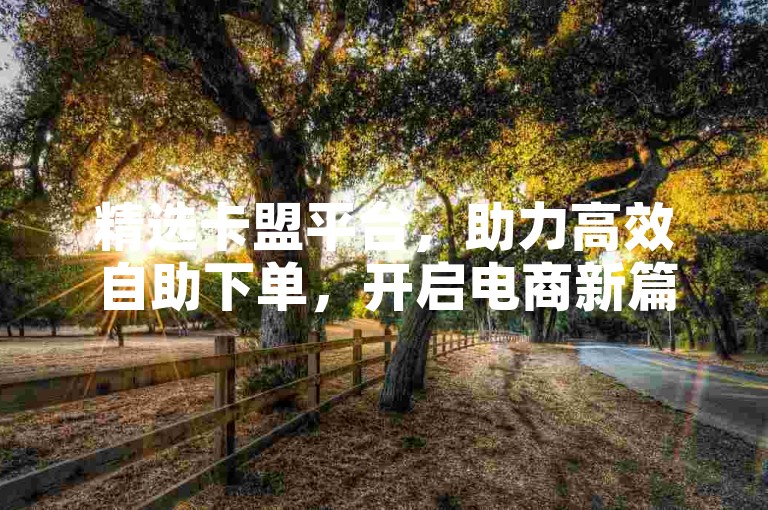 精选卡盟平台，助力高效自助下单，开启电商新篇。