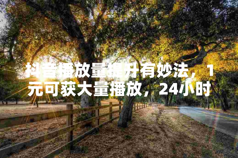 抖音播放量提升有妙法，1元可获大量播放，24小时服务不停。