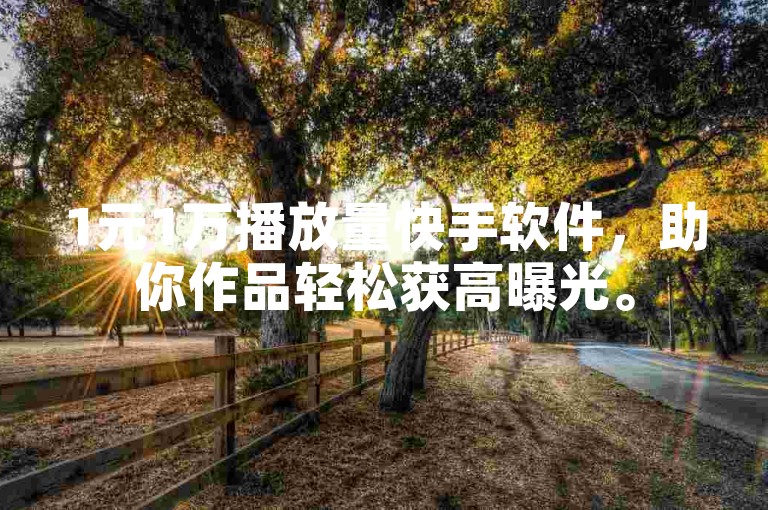 1元1万播放量快手软件，助你作品轻松获高曝光。