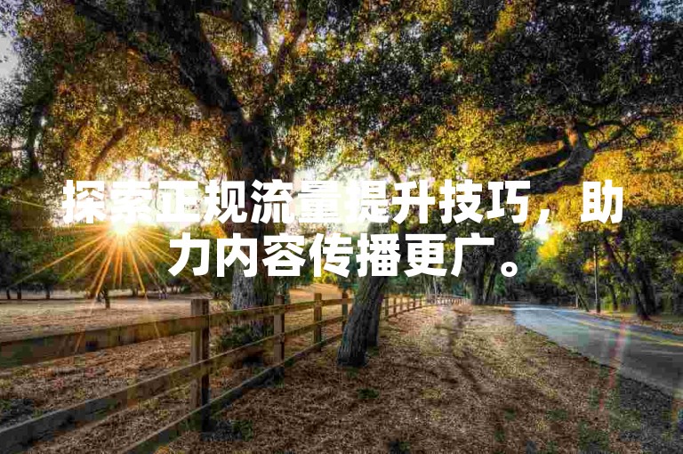 探索正规流量提升技巧，助力内容传播更广。