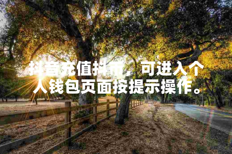 抖音充值抖币，可进入个人钱包页面按提示操作。