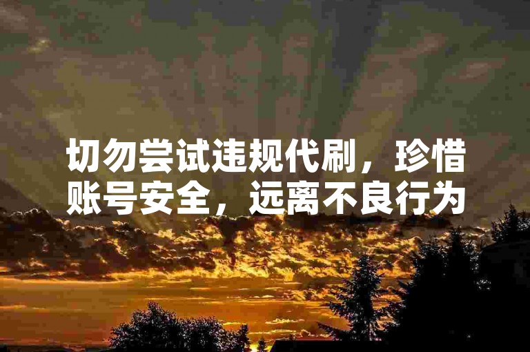 切勿尝试违规代刷，珍惜账号安全，远离不良行为。