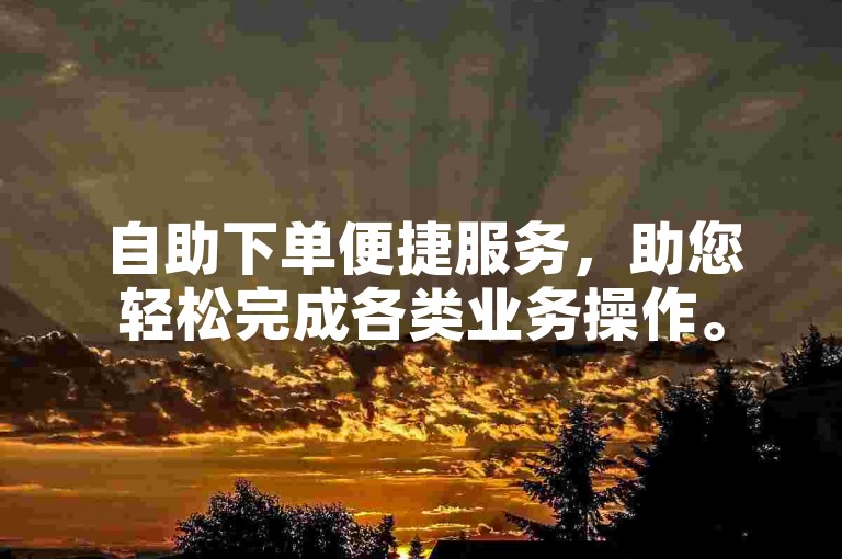 自助下单便捷服务，助您轻松完成各类业务操作。