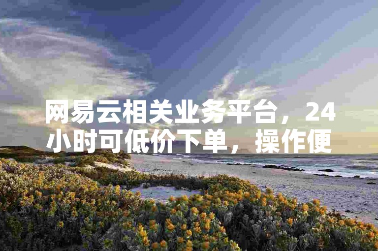 网易云相关业务平台，24小时可低价下单，操作便捷服务优。
