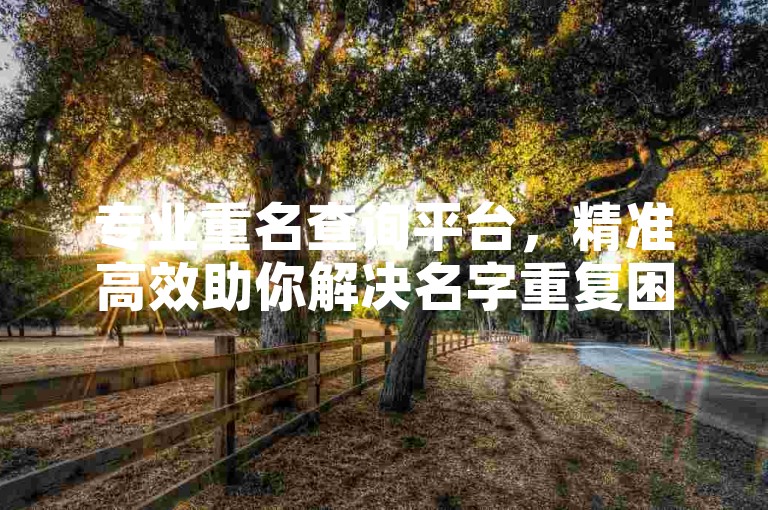 专业重名查询平台，精准高效助你解决名字重复困扰。