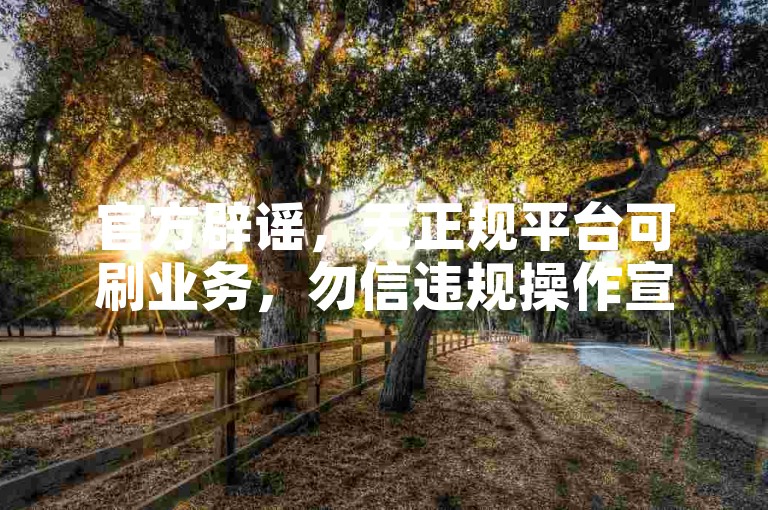 官方辟谣，无正规平台可刷业务，勿信违规操作宣传。