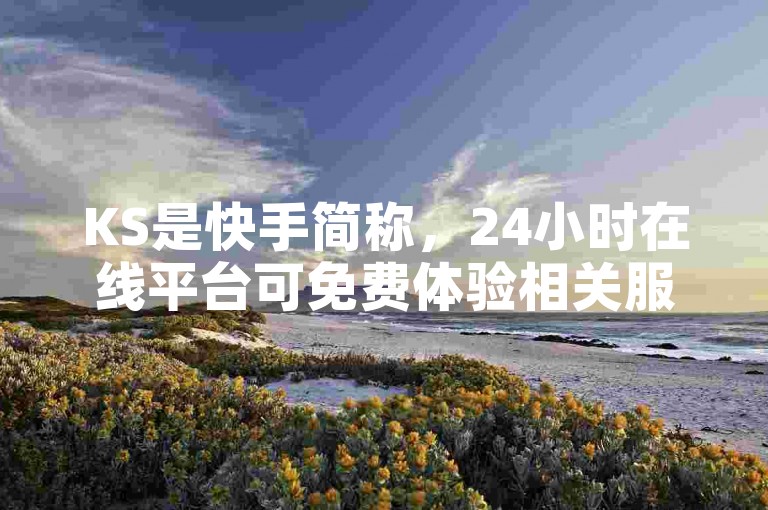 KS是快手简称，24小时在线平台可免费体验相关服务。