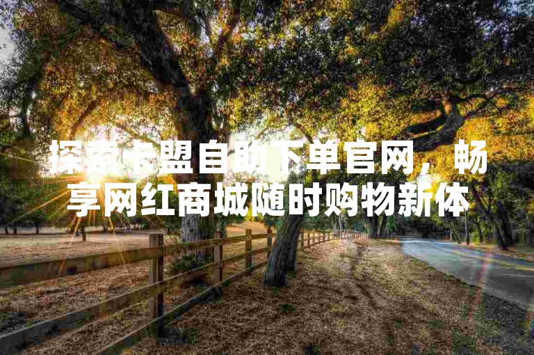 探索卡盟自助下单官网，畅享网红商城随时购物新体验。