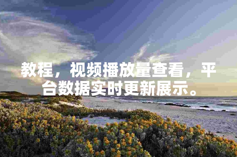 教程，视频播放量查看，平台数据实时更新展示。