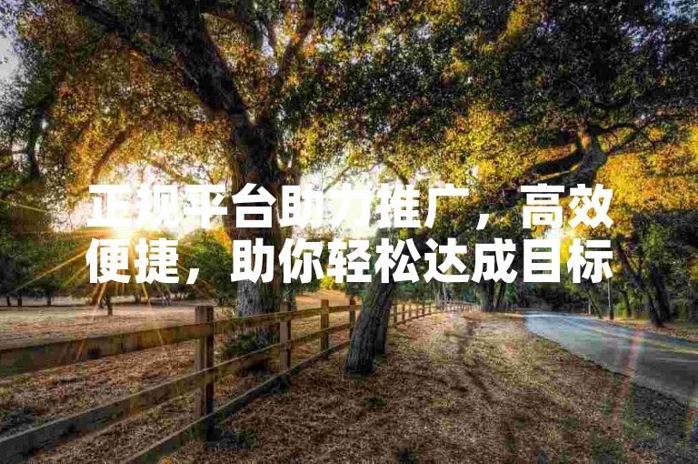 正规平台助力推广，高效便捷，助你轻松达成目标。
