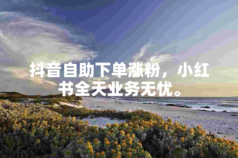 抖音自助下单涨粉，小红书全天业务无忧。