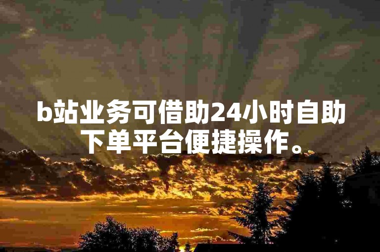 b站业务可借助24小时自助下单平台便捷操作。