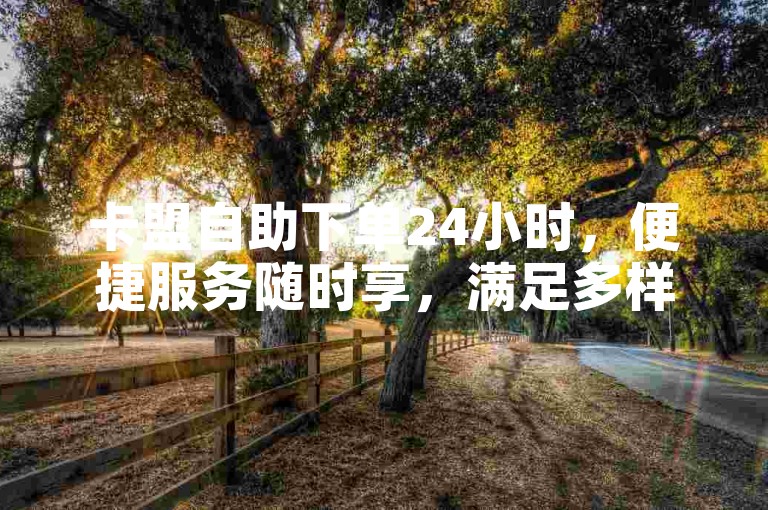 卡盟自助下单24小时，便捷服务随时享，满足多样需求。