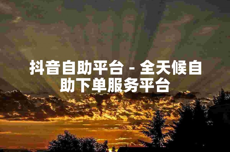 抖音自助平台 - 全天候自助下单服务平台
