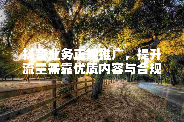 抖音业务正规推广，提升流量需靠优质内容与合规运营。
