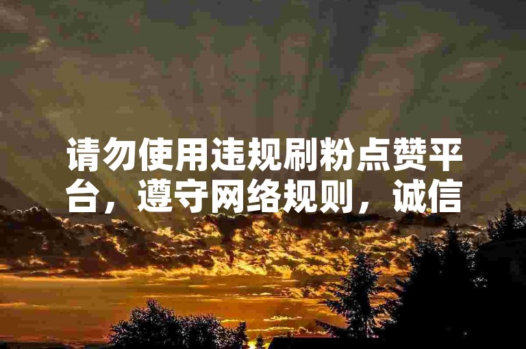 请勿使用违规刷粉点赞平台，遵守网络规则，诚信互动交流。
