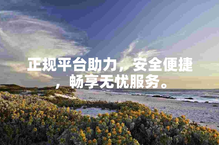 正规平台助力，安全便捷，畅享无忧服务。