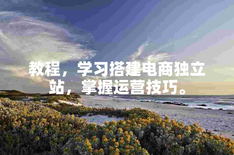 教程，学习搭建电商独立站，掌握运营技巧。