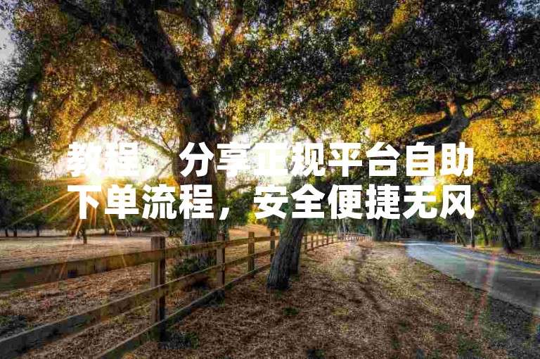 教程，分享正规平台自助下单流程，安全便捷无风险。