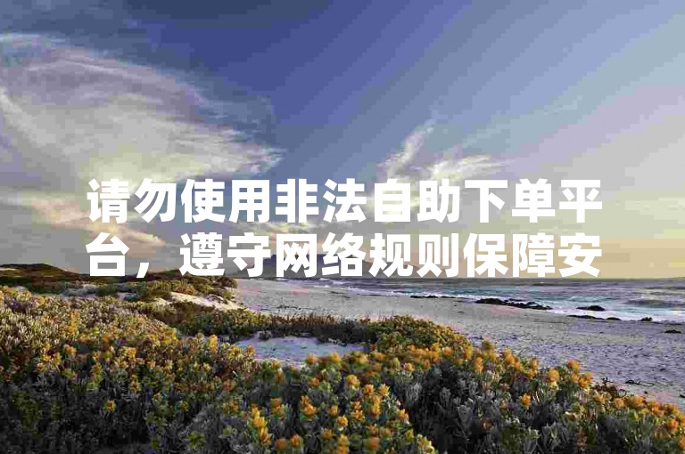 请勿使用非法自助下单平台，遵守网络规则保障安全。