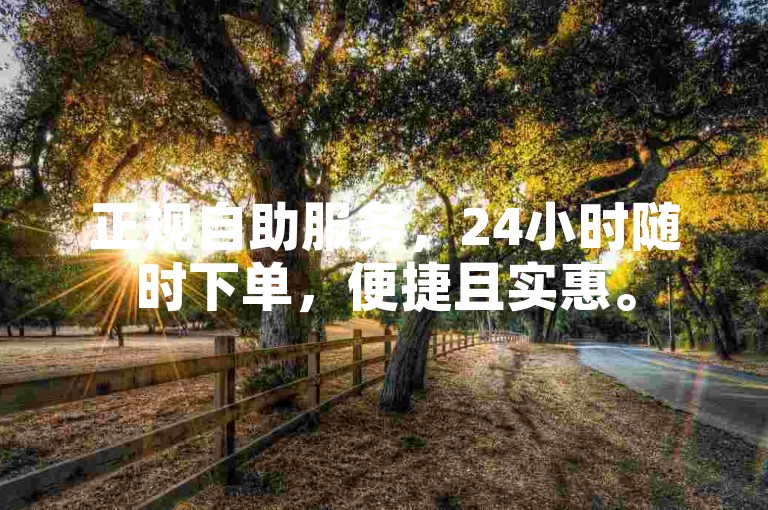 正规自助服务，24小时随时下单，便捷且实惠。