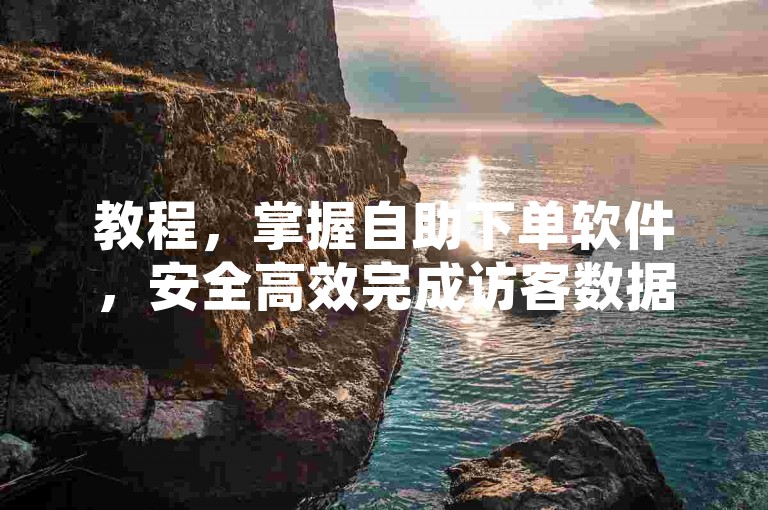 教程，掌握自助下单软件，安全高效完成访客数据管理。
