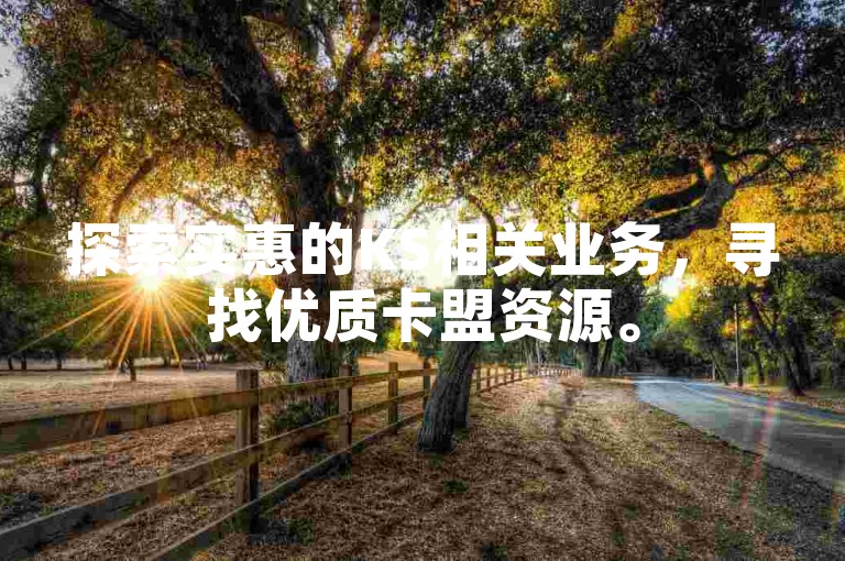 探索实惠的KS相关业务，寻找优质卡盟资源。