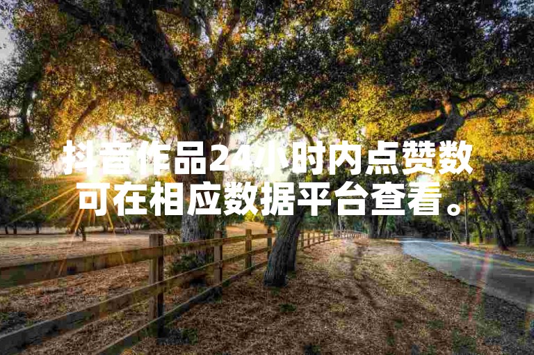 抖音作品24小时内点赞数可在相应数据平台查看。