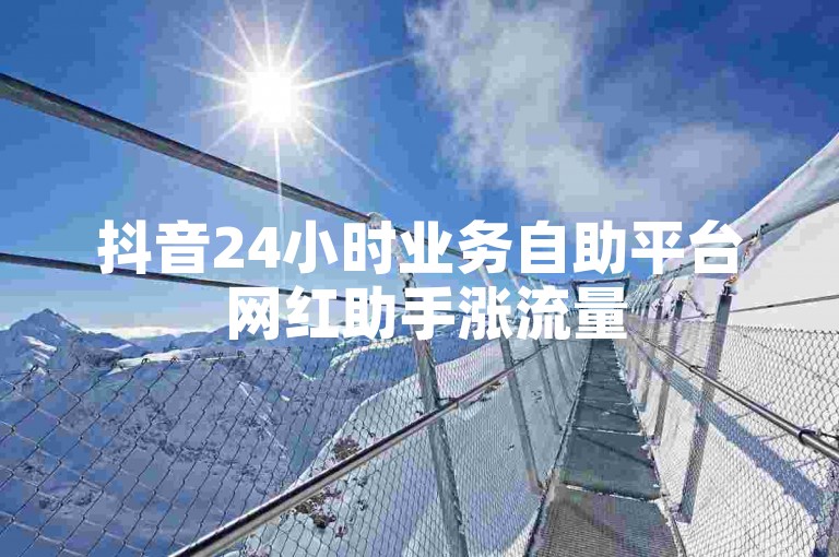 抖音24小时业务自助平台 网红助手涨流量