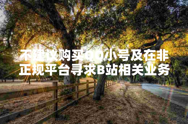 不建议购买QQ小号及在非正规平台寻求B站相关业务，谨防风险。