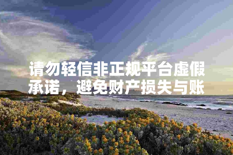 请勿轻信非正规平台虚假承诺，避免财产损失与账号风险。