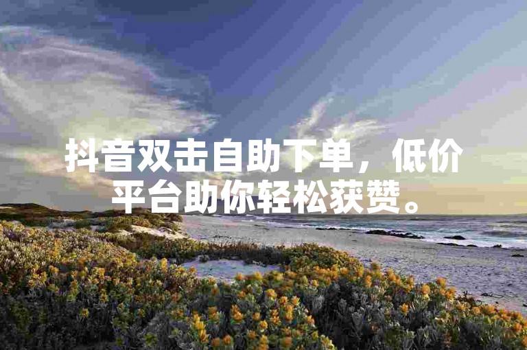 抖音双击自助下单，低价平台助你轻松获赞。