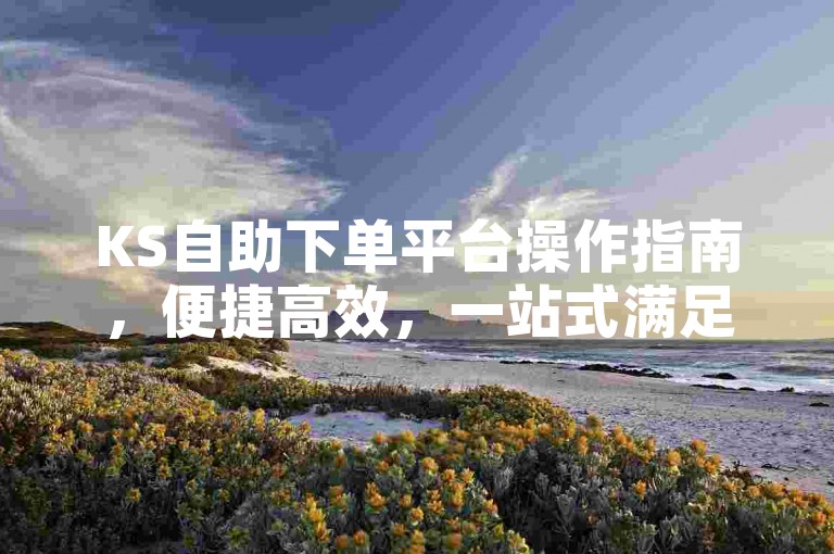 KS自助下单平台操作指南，便捷高效，一站式满足多元需求！新手速学！