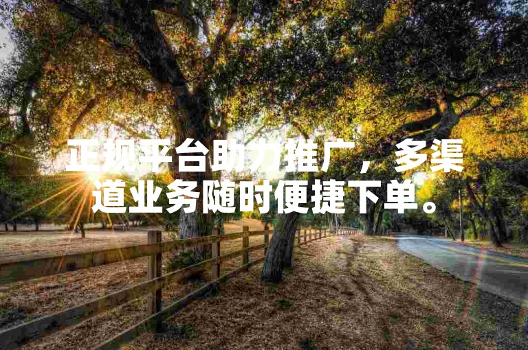 正规平台助力推广，多渠道业务随时便捷下单。