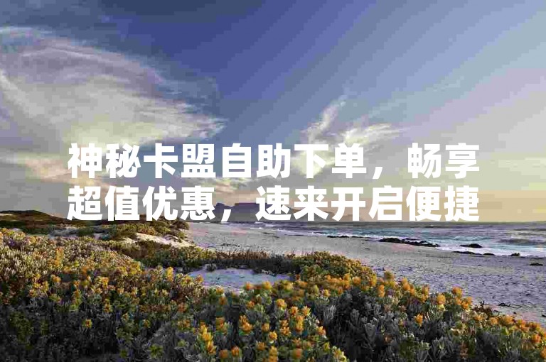 神秘卡盟自助下单，畅享超值优惠，速来开启便捷体验之旅