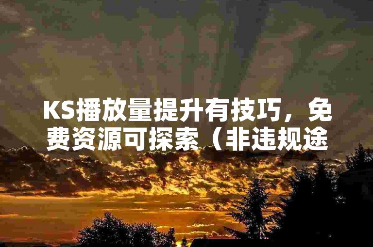 KS播放量提升有技巧，免费资源可探索（非违规途径）