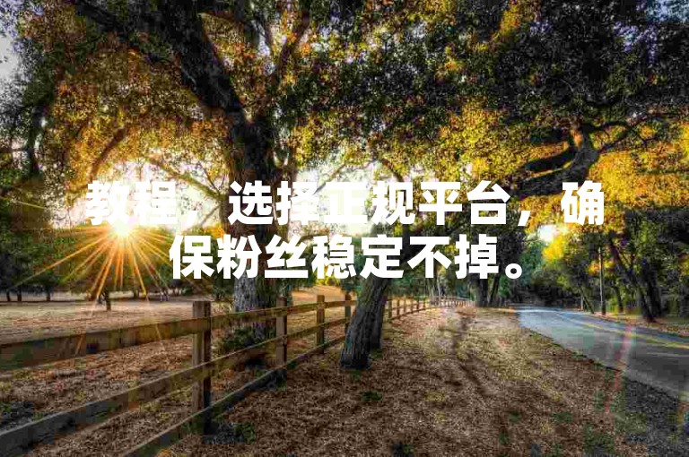 教程，选择正规平台，确保粉丝稳定不掉。