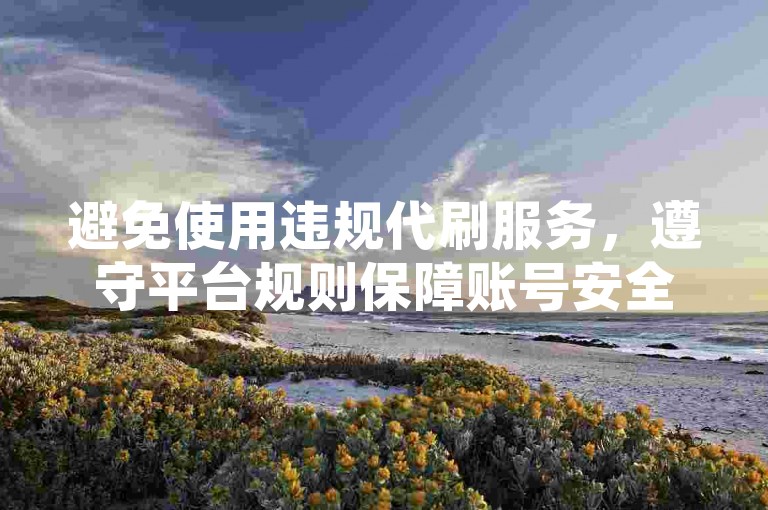 避免使用违规代刷服务，遵守平台规则保障账号安全。