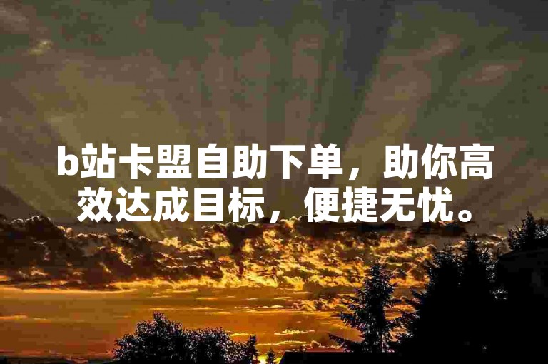 b站卡盟自助下单，助你高效达成目标，便捷无忧。