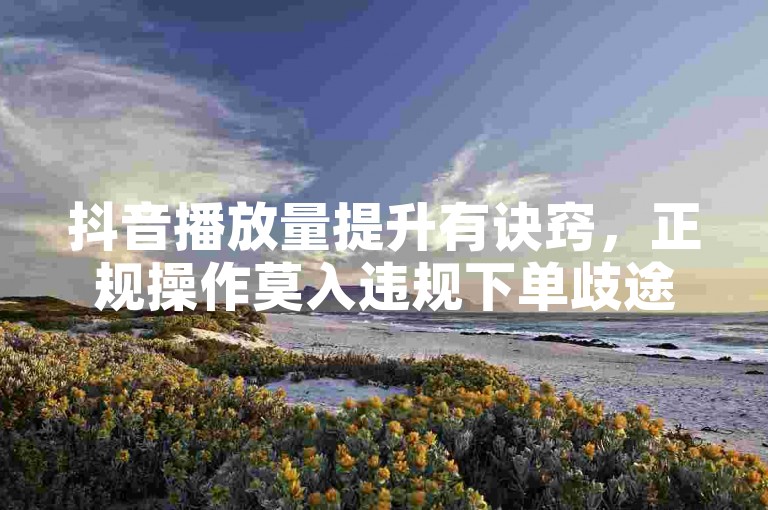 抖音播放量提升有诀窍，正规操作莫入违规下单歧途。