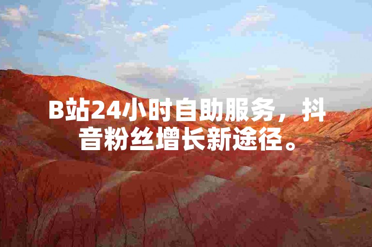 B站24小时自助服务，抖音粉丝增长新途径。