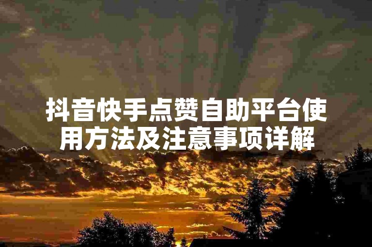 抖音快手点赞自助平台使用方法及注意事项详解