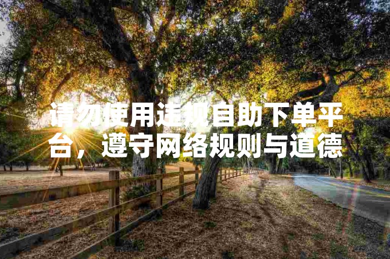 请勿使用违规自助下单平台，遵守网络规则与道德。