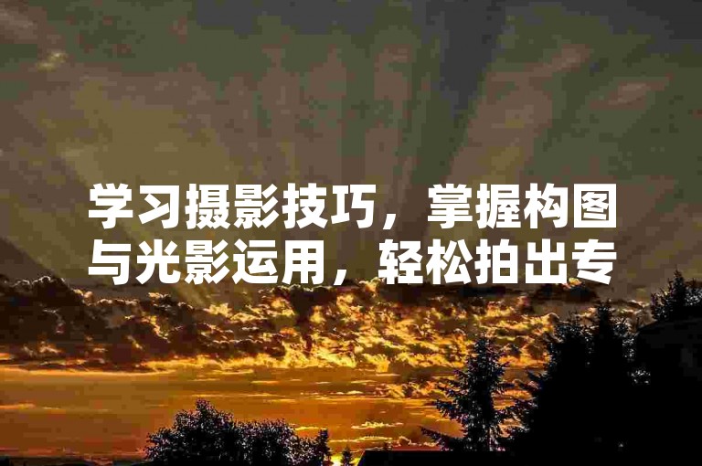 学习摄影技巧，掌握构图与光影运用，轻松拍出专业级作品。