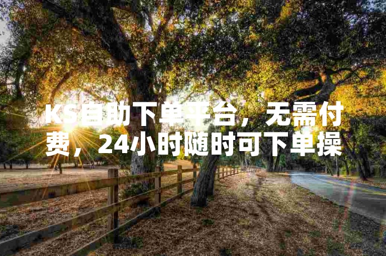 KS自助下单平台，无需付费，24小时随时可下单操作